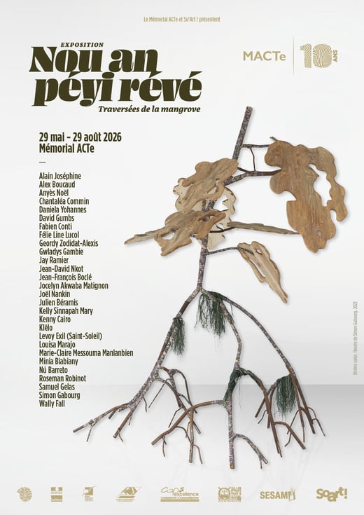 AFFICHE NAPR version finale